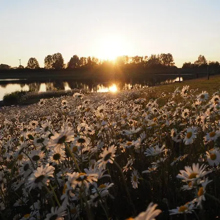 Coproyshof Am In Am Niederrhein 5 Sterne Dtv-klassifizierung 6 Personen