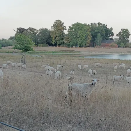Coproyshof Am In Am Niederrhein 5 Sterne Dtv-klassifizierung 6 Personen * Wesel (North Rhine-Westphalia)