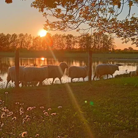 Coproyshof Am In Am Niederrhein 5 Sterne Dtv-klassifizierung 6 Personen Wesel (North Rhine-Westphalia)