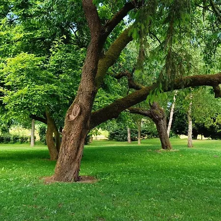 Coproyshof Am In Am Niederrhein 5 Sterne Dtv-klassifizierung 6 Personen *