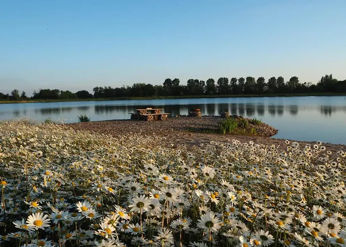 Coproyshof Am In Am Niederrhein 5 Sterne Dtv-klassifizierung 6 Personen شقة *