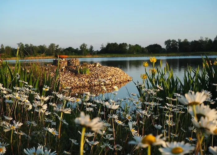 Apartment Coproyshof Am In Am Niederrhein 5 Sterne Dtv-klassifizierung 6 Personen *