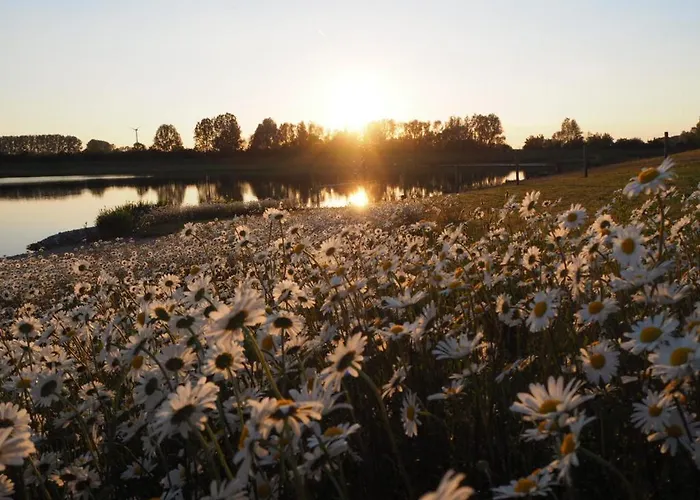 Coproyshof Am In Am Niederrhein 5 Sterne Dtv-klassifizierung 6 Personen