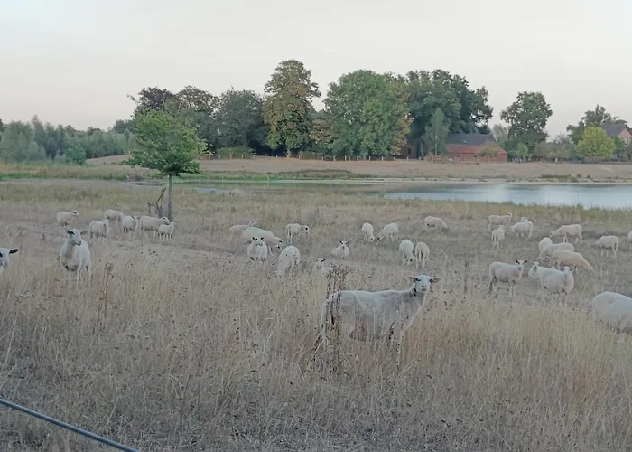 Coproyshof Am In Am Niederrhein 5 Sterne Dtv-klassifizierung 6 Personen * فيسيل