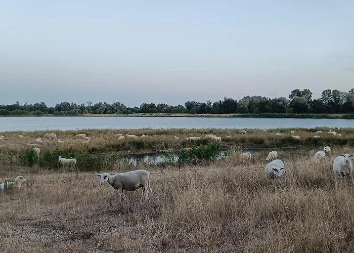 Coproyshof Am In Am Niederrhein 5 Sterne Dtv-klassifizierung 6 Personen