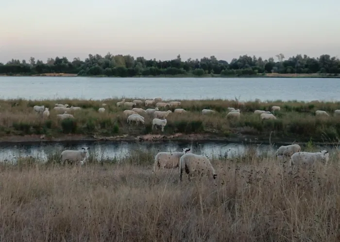شقة Coproyshof Am In Am Niederrhein 5 Sterne Dtv-klassifizierung 6 Personen *