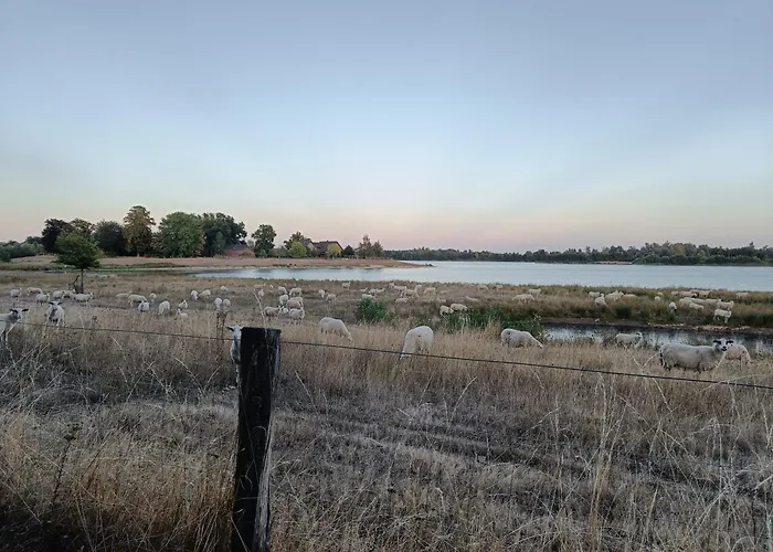 Coproyshof Am In Am Niederrhein 5 Sterne Dtv-klassifizierung 6 Personen شقة
