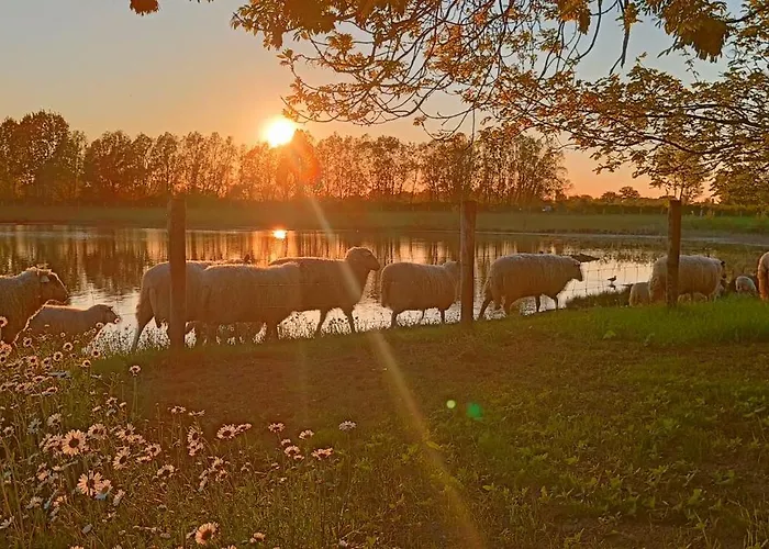 Coproyshof Am In Am Niederrhein 5 Sterne Dtv-klassifizierung 6 Personen Wesel (North Rhine-Westphalia)