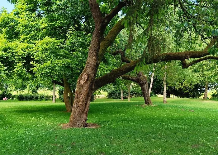 Coproyshof Am In Am Niederrhein 5 Sterne Dtv-klassifizierung 6 Personen *