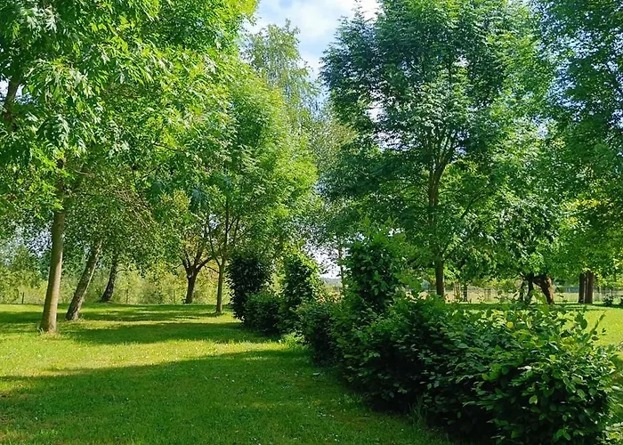 Coproyshof Am In Am Niederrhein 5 Sterne Dtv-klassifizierung 6 Personen וזל